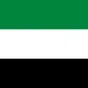 United Arab Emirates flag
